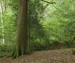 New Study Classifies the Entire Planet’s Ecosystems for the First Time